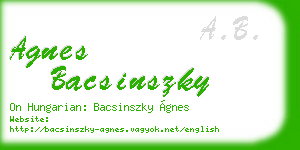 agnes bacsinszky business card