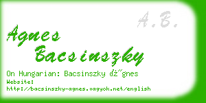 agnes bacsinszky business card